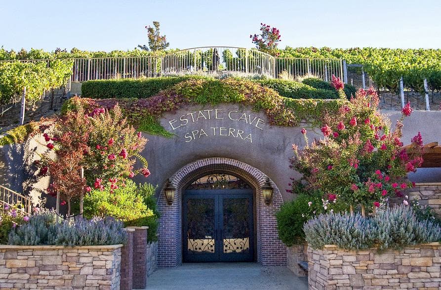 Estate Cave Spa Terra entrance with stone archway, flowering vines, and vineyard backdrop